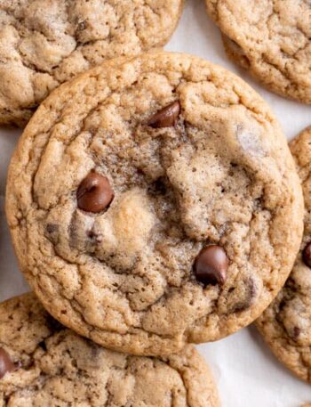 Chocolate Chip Cookie